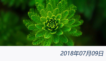 众赢国际(中国)官方网站