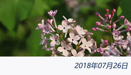 众赢国际(中国)官方网站