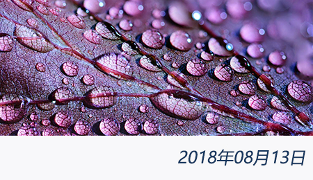 众赢国际(中国)官方网站