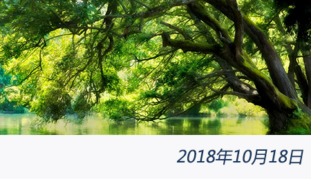 众赢国际(中国)官方网站