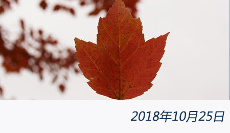 众赢国际(中国)官方网站