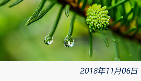 众赢国际(中国)官方网站