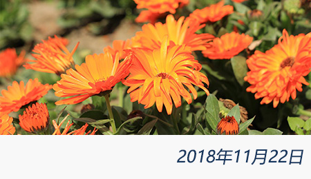 众赢国际(中国)官方网站