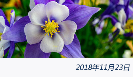 众赢国际(中国)官方网站