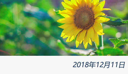 众赢国际(中国)官方网站