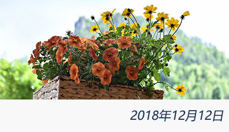 众赢国际(中国)官方网站