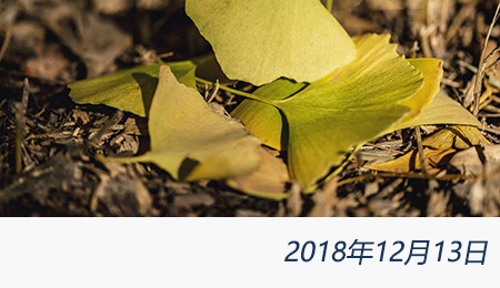 众赢国际(中国)官方网站