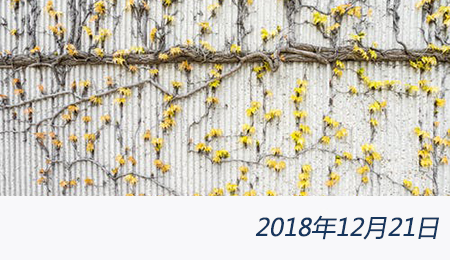 众赢国际(中国)官方网站