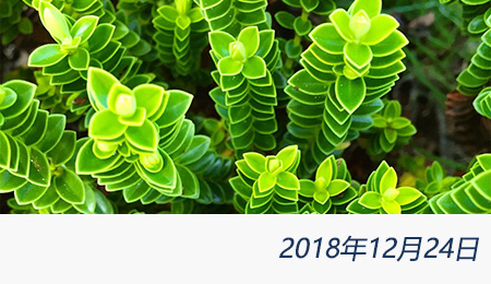 众赢国际(中国)官方网站