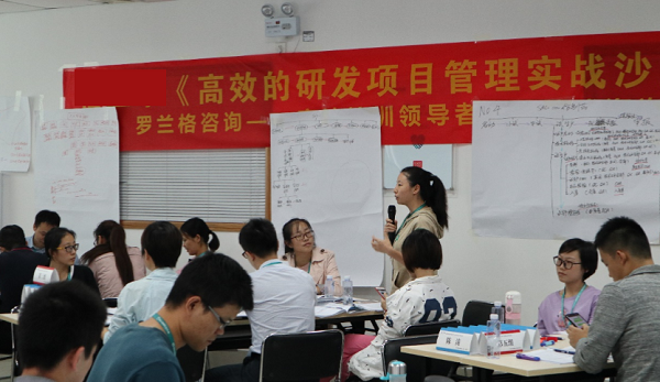 研发项目治理实战 研发项目治理实战